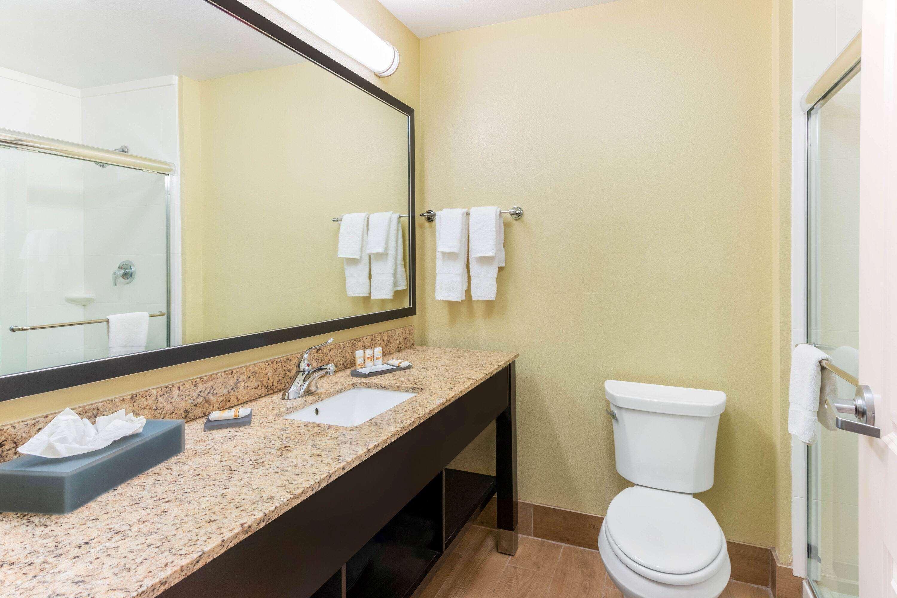 La Quinta By Wyndham Hotel Carlsbad